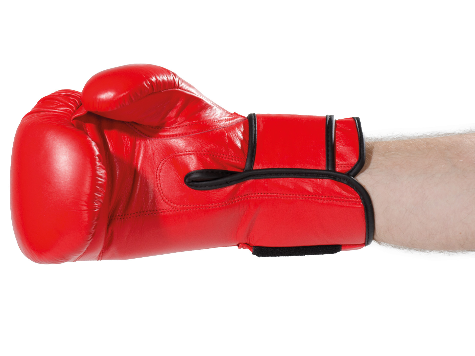 Boxing glove Ergo Champ 10 oz