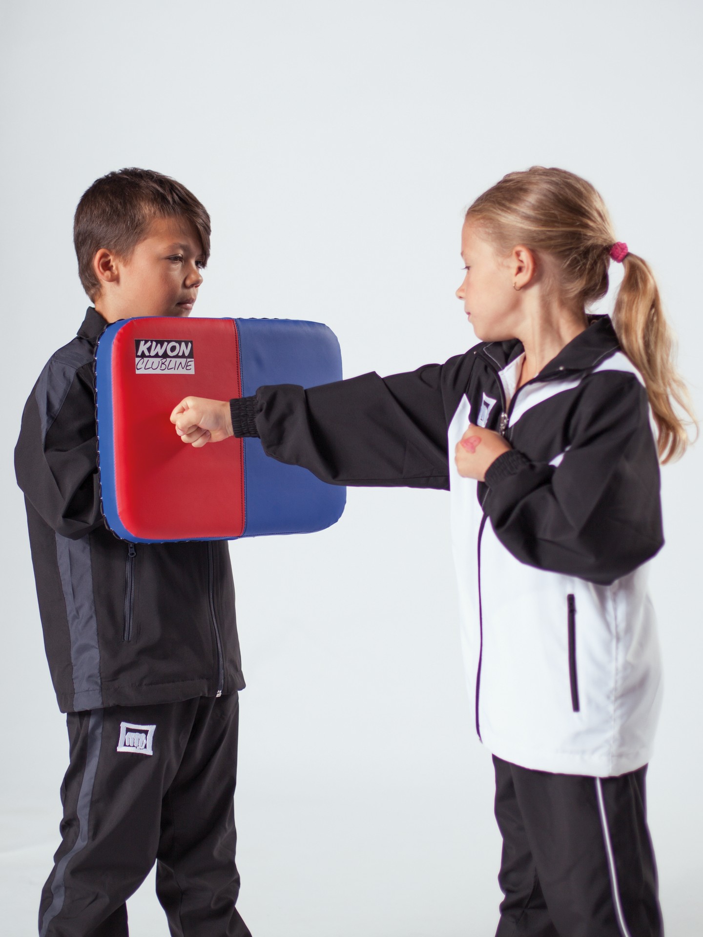 Strike Pad Target