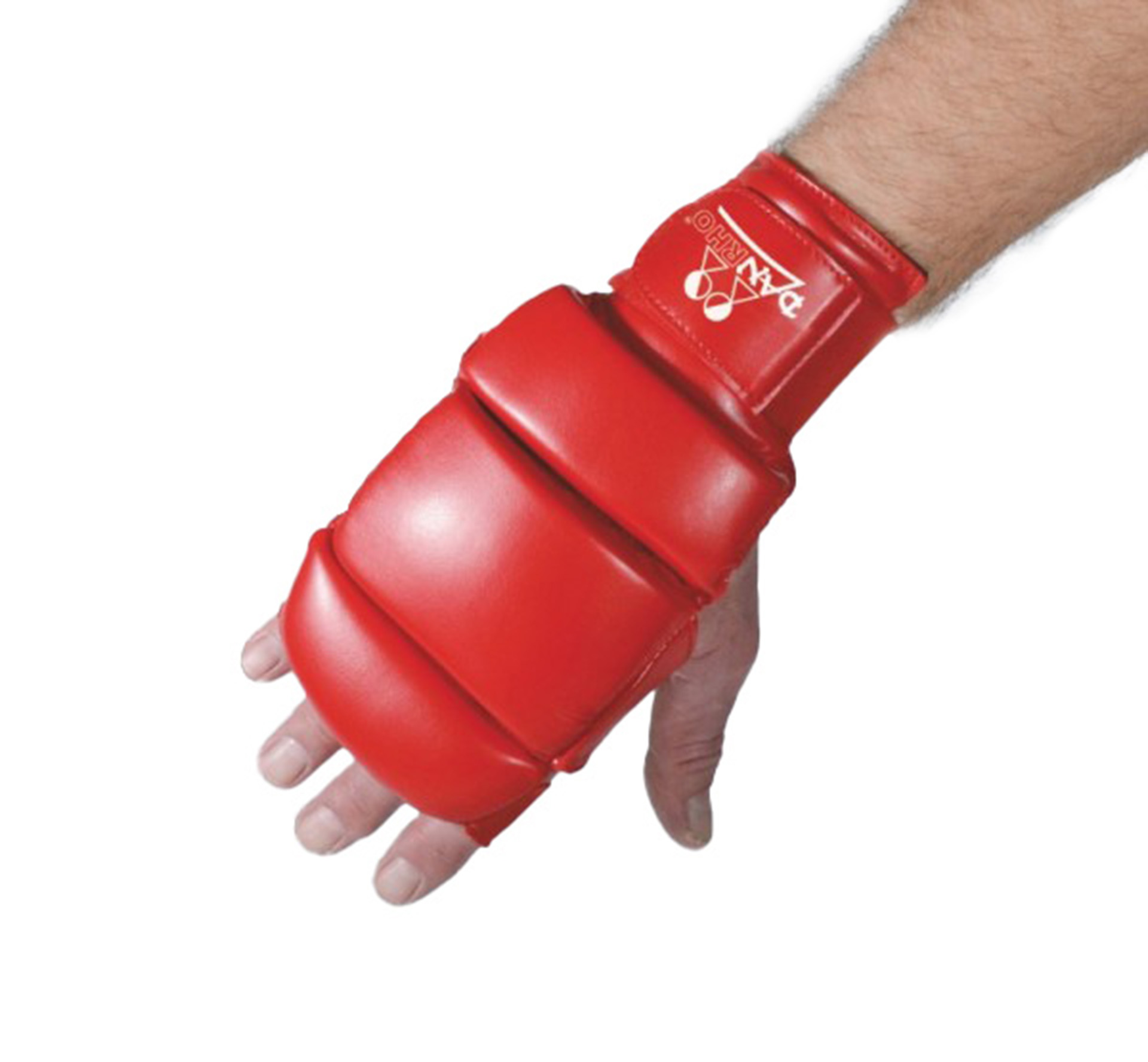DANRHO Ju Jutsu hand protector