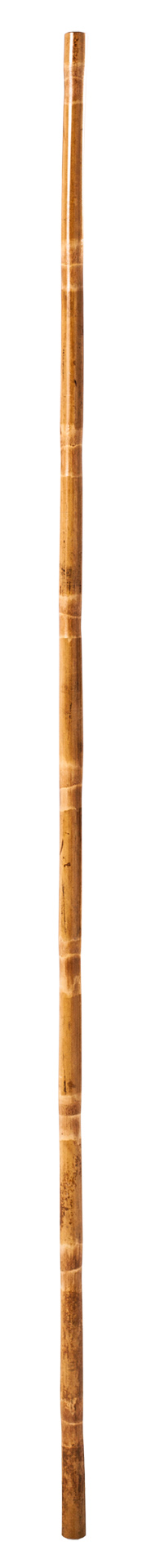Bo Stick, Rattan