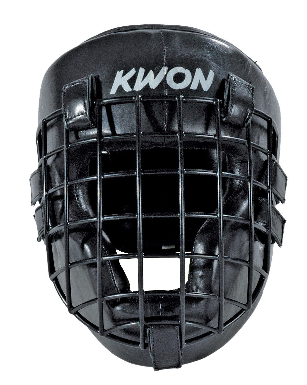 Head Guard with iron sight