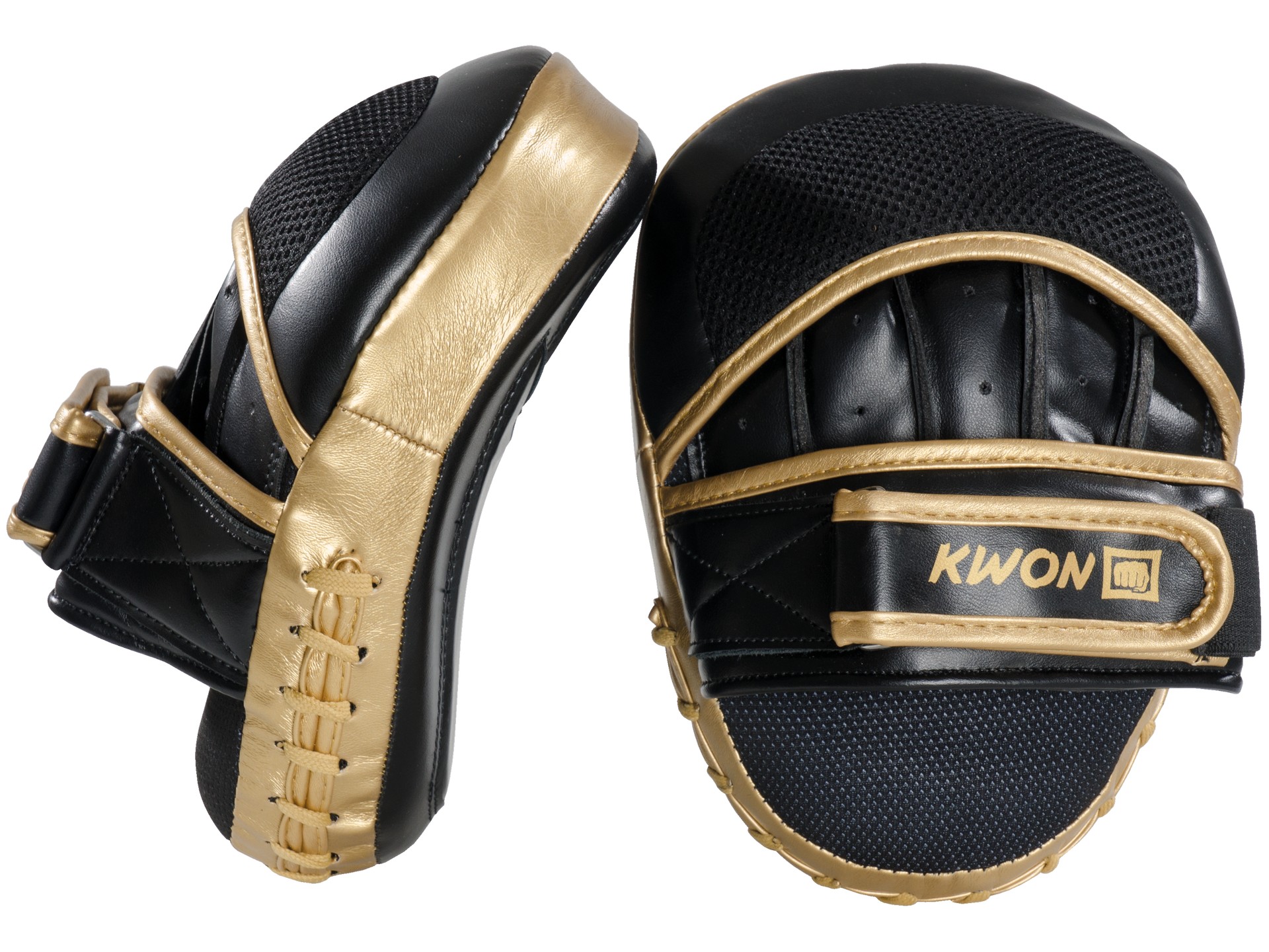Coaching Mitt Ultimate pair
