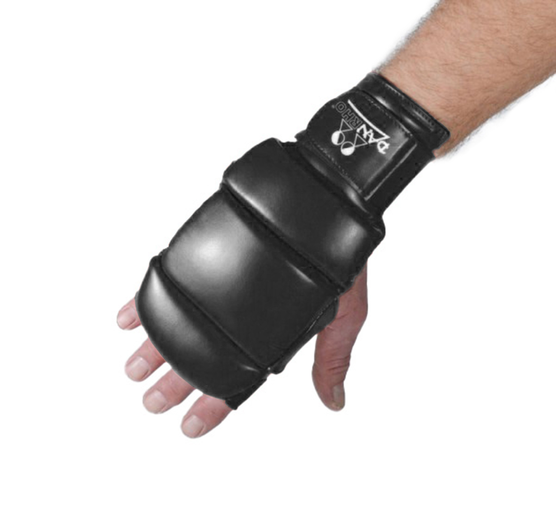 DANRHO Ju Jutsu hand protector