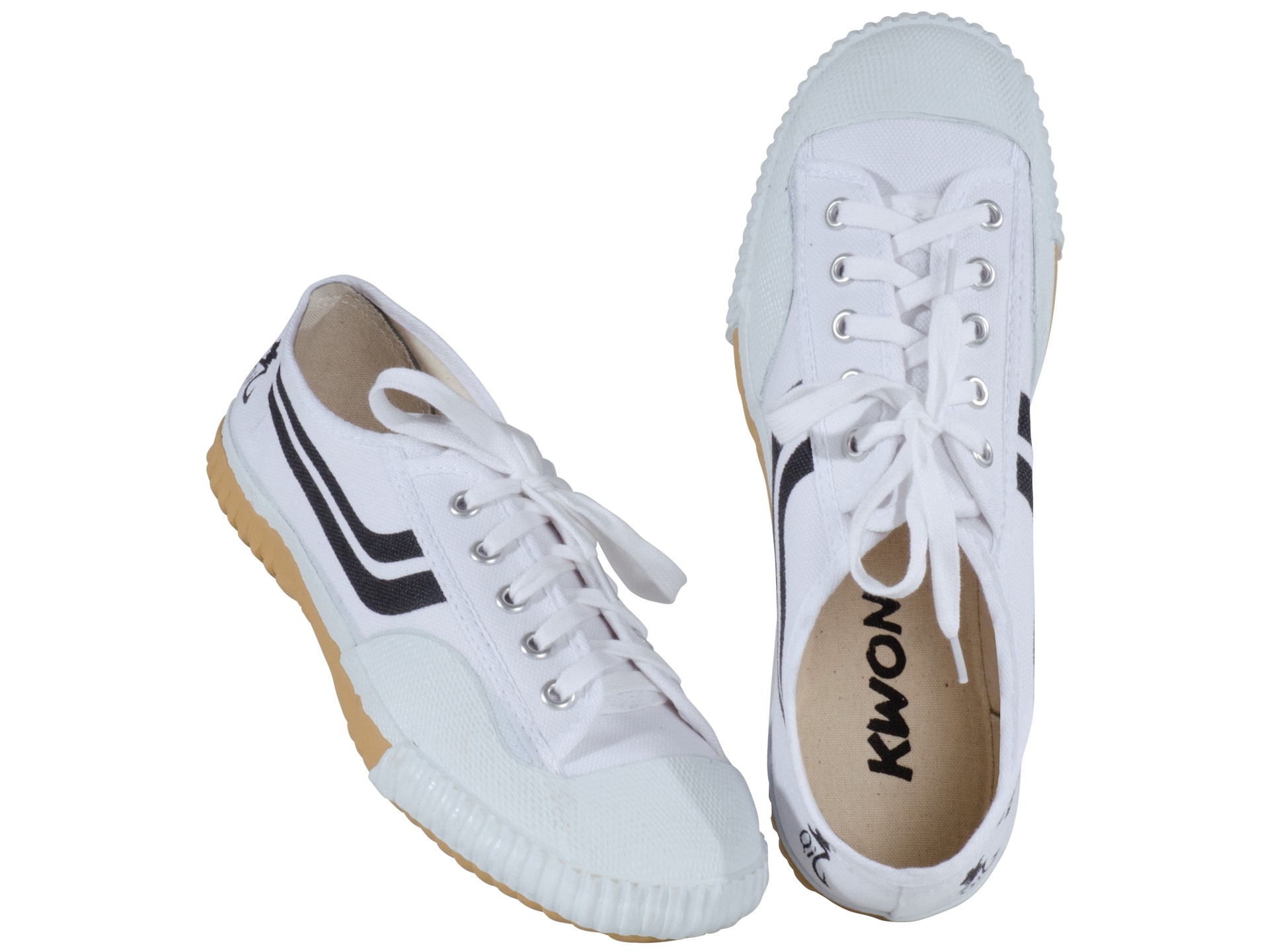 Canvas Training shoes