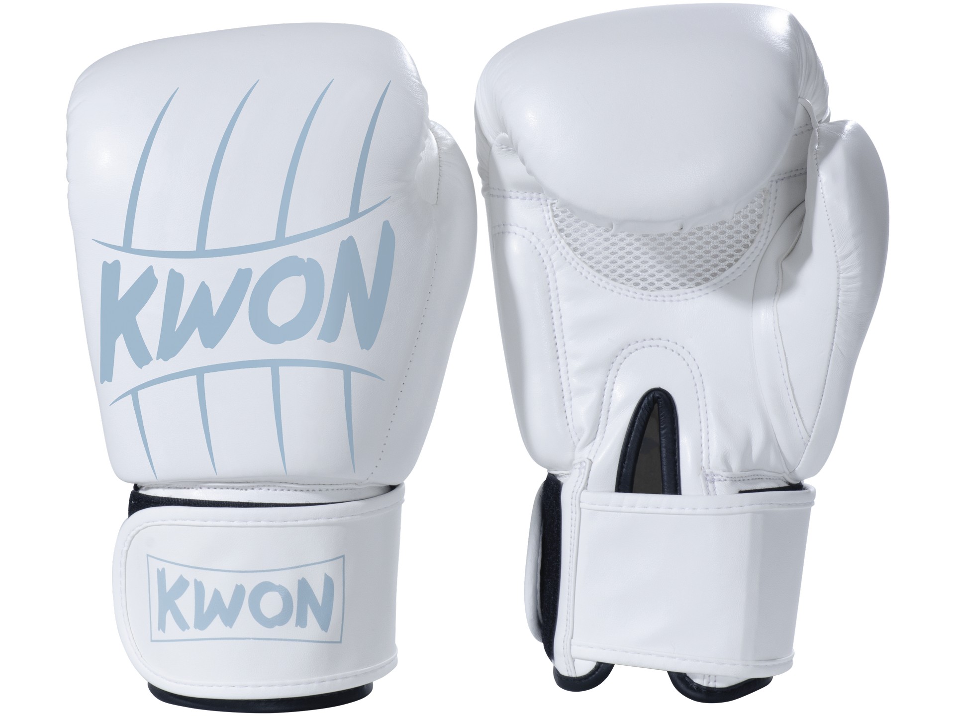 Boxing Gloves Scratch