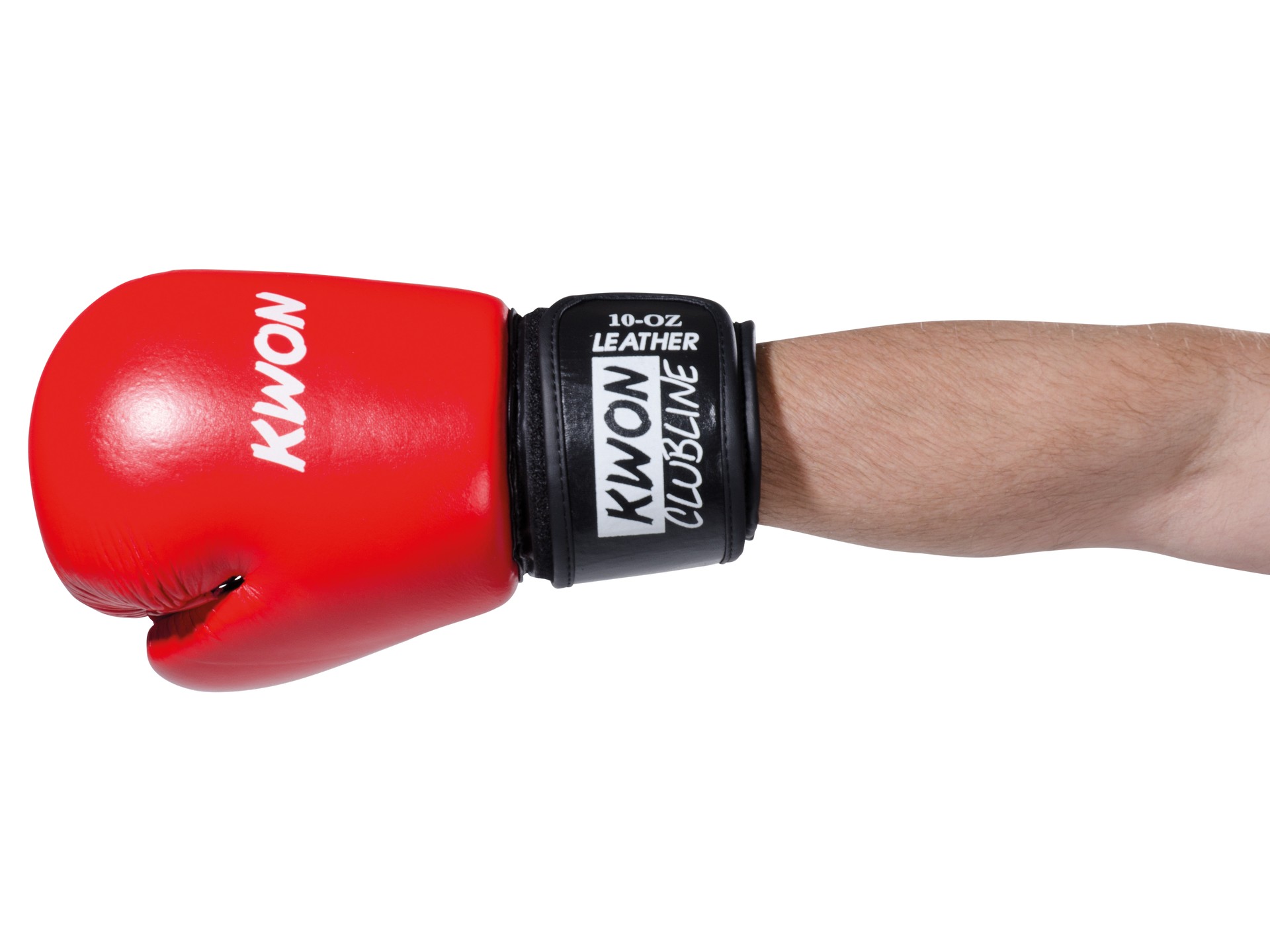 Boxing gloves Pointer leather