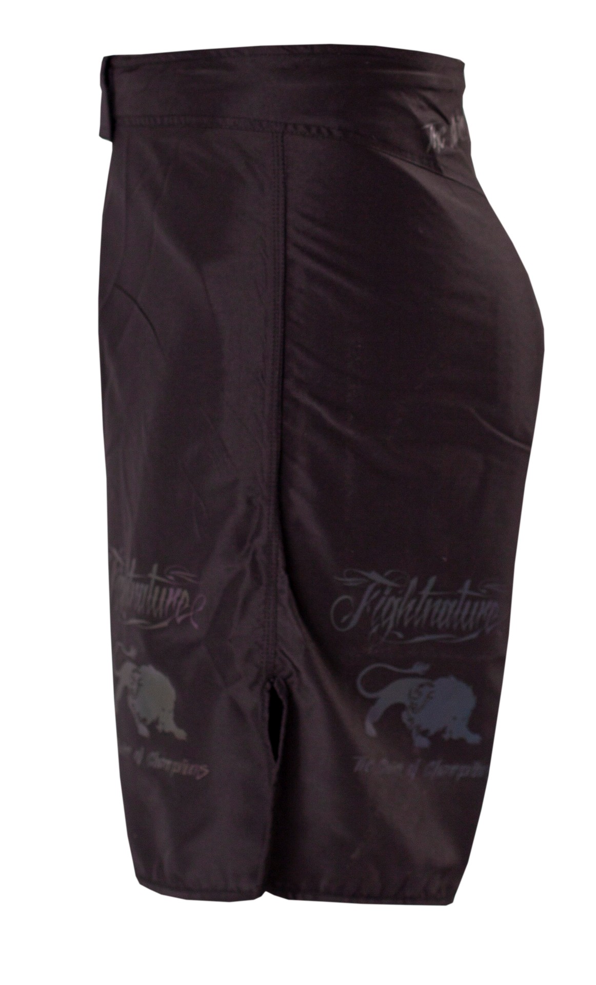 FIGHTNATURE MMA Shorts reflective print