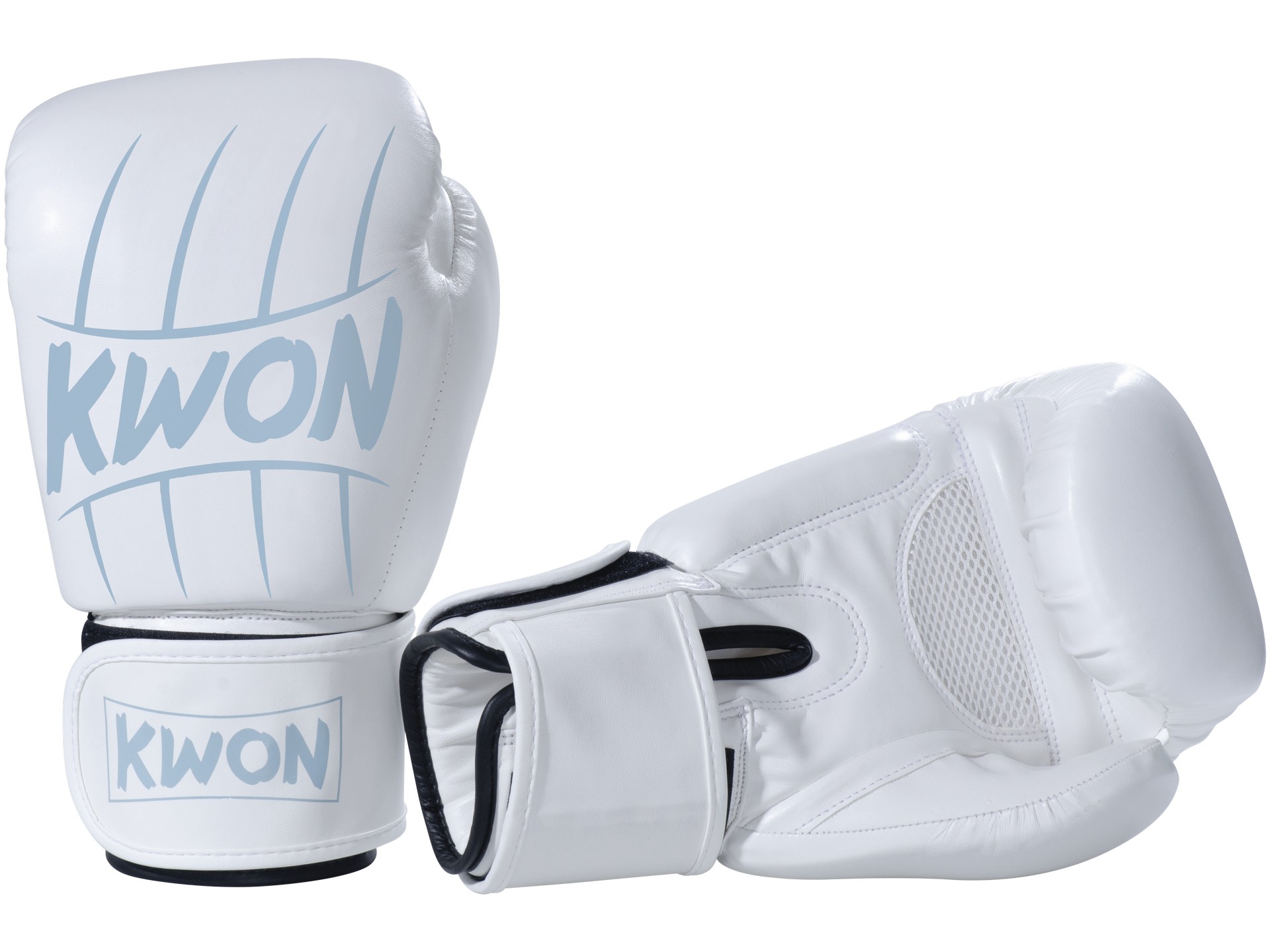 Boxing Gloves Scratch