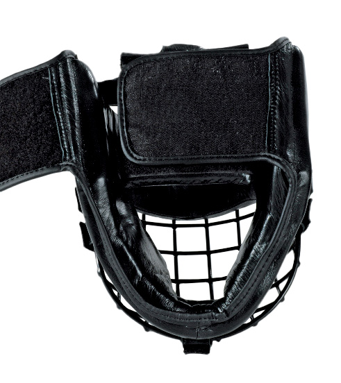 Head Guard with iron sight