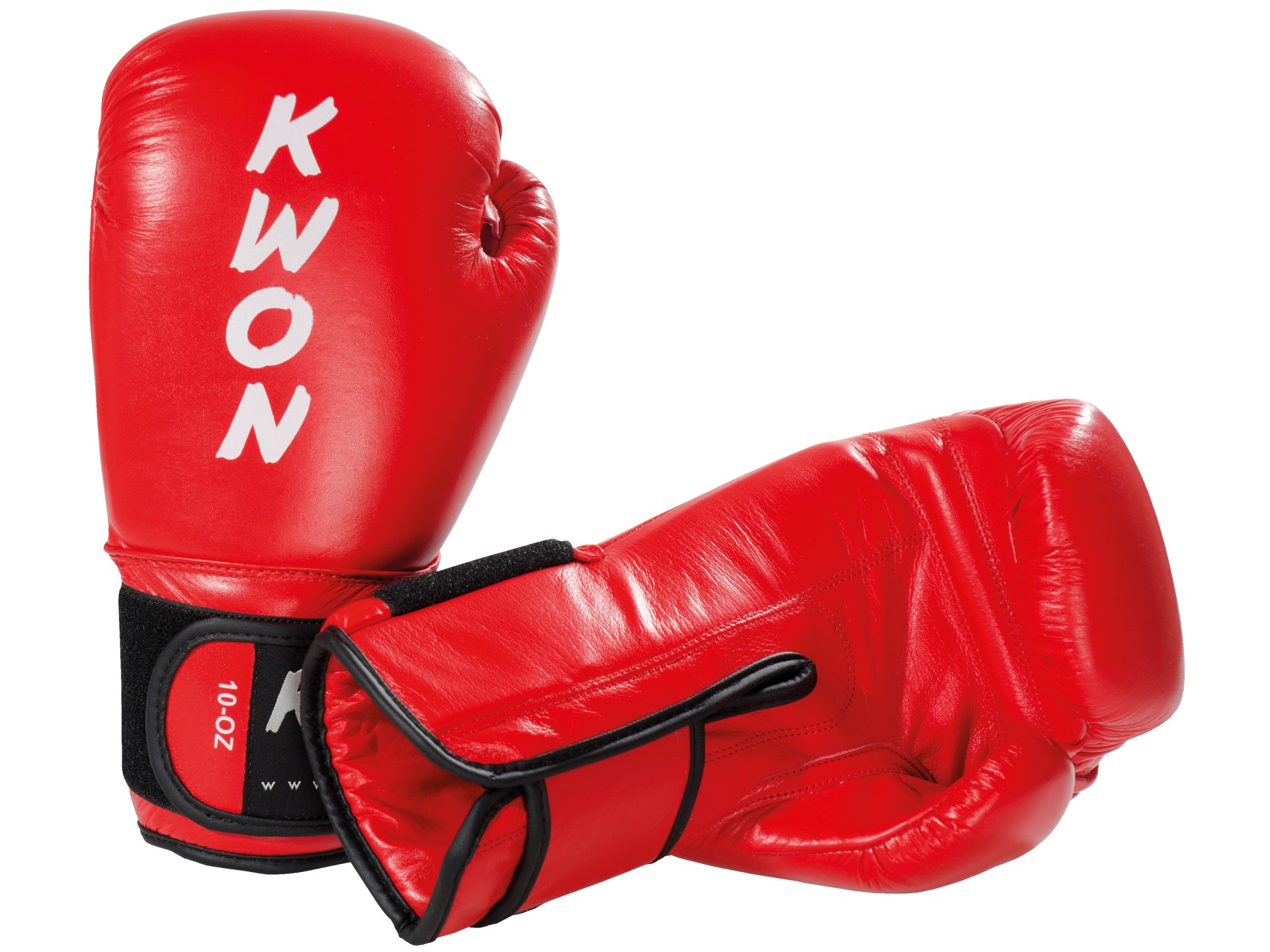 Boxing glove Ergo Champ 10 oz